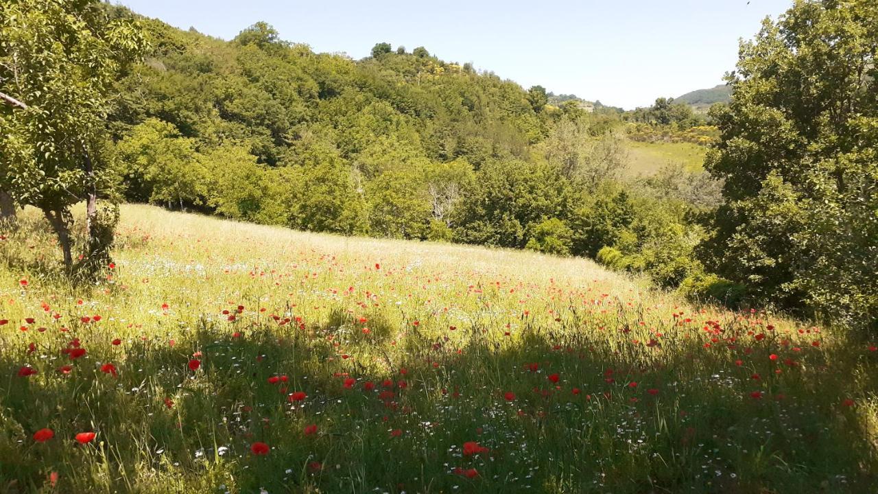 Agriturismo Marcofrate, A Retreat In The Nature Valtopina Exterior photo