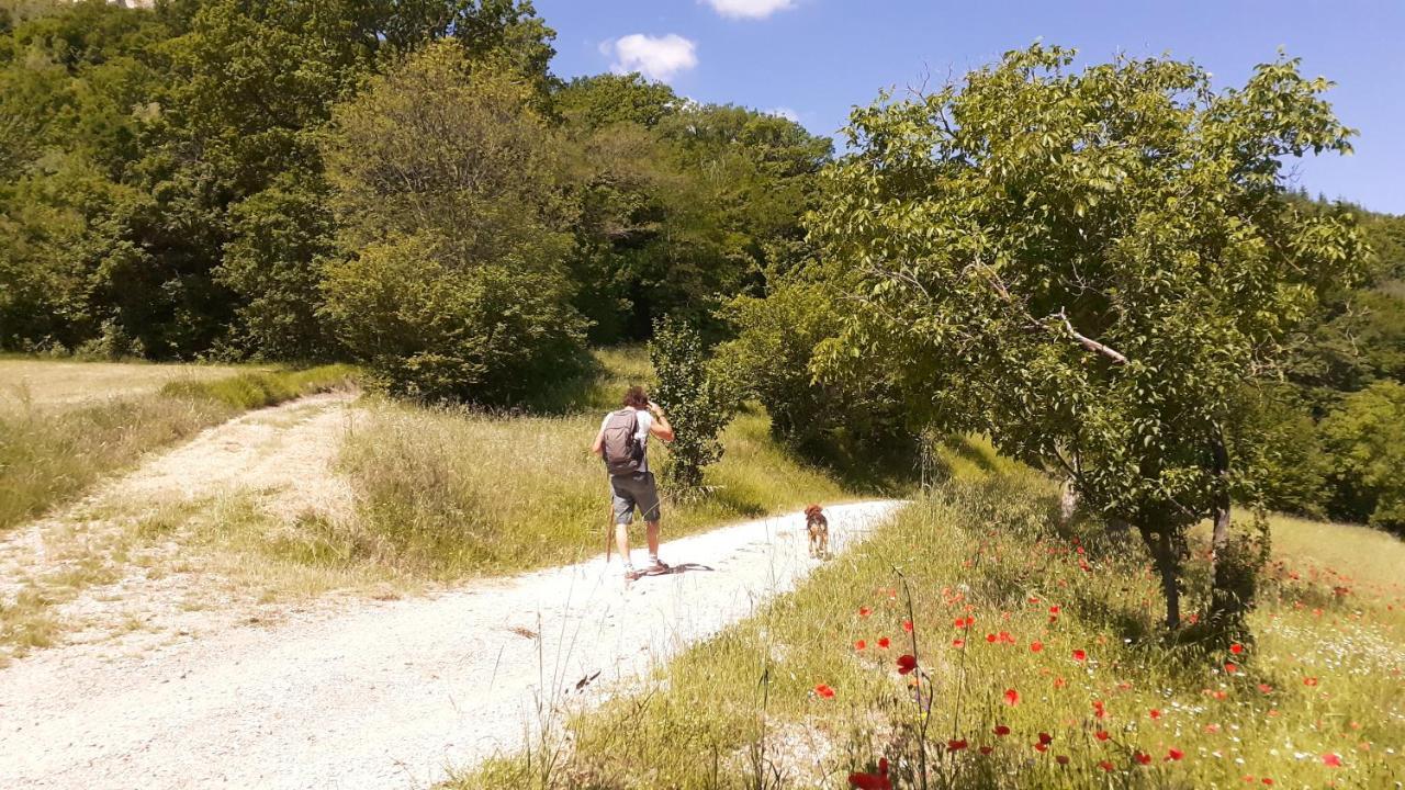 Agriturismo Marcofrate, A Retreat In The Nature Valtopina Exterior photo